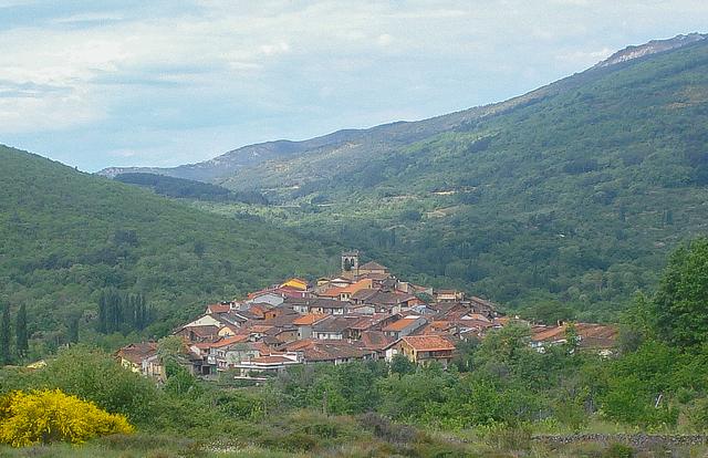 CEPEDA